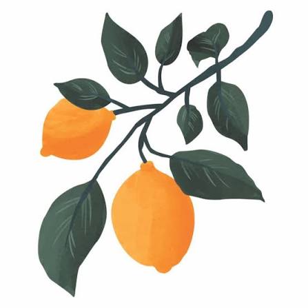 Mandolina